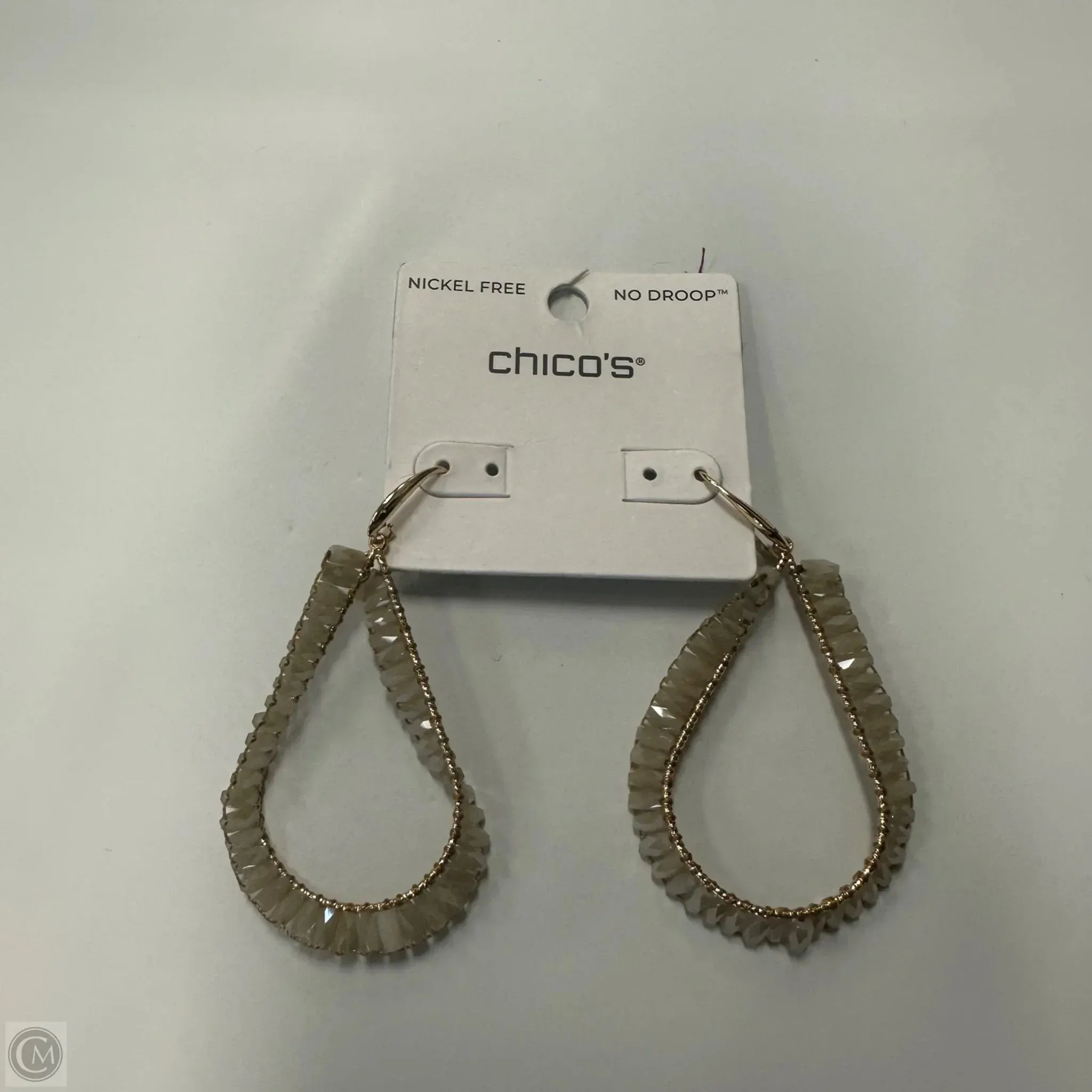 Earrings Dangle/drop By Chicos