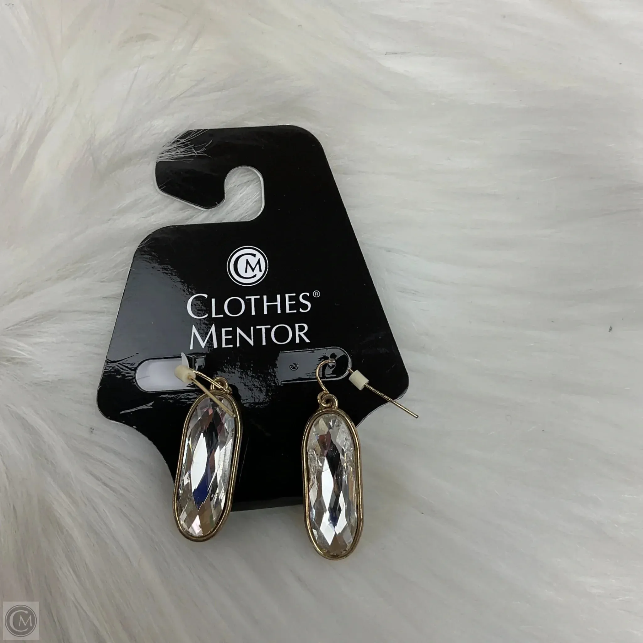 Earrings Dangle/drop By Clothes Mentor