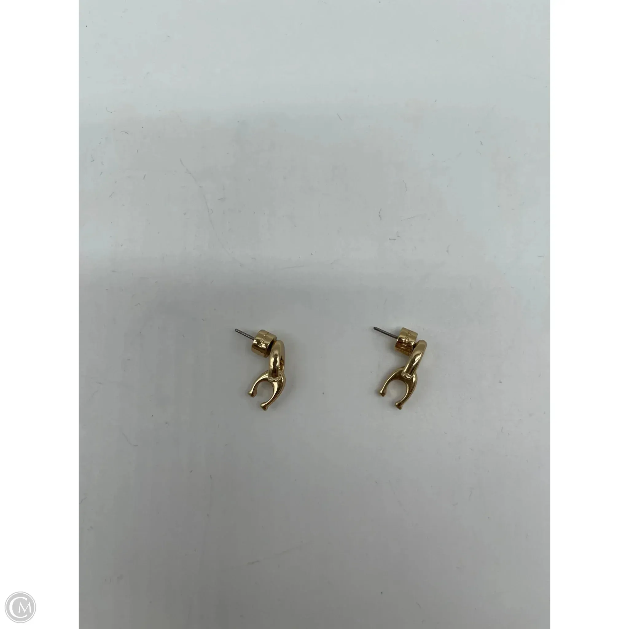 Earrings Designer By Coach
