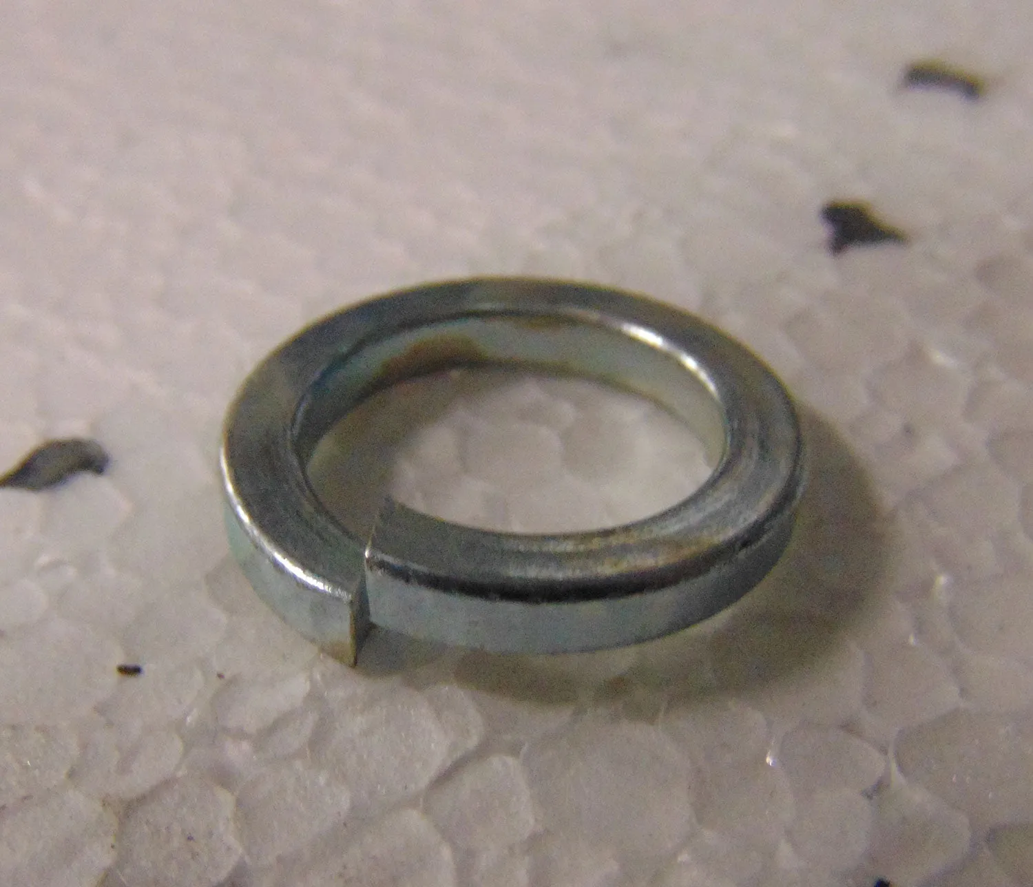 Washer Spring M16 - Each